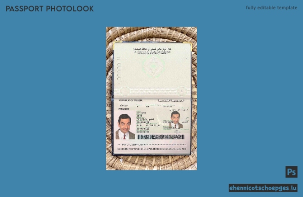 Beispielansicht eines Passfotos für Tunesien